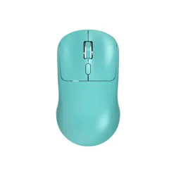 North Wireless Mouse - Aqua Green: Radio Frequency, Business Use