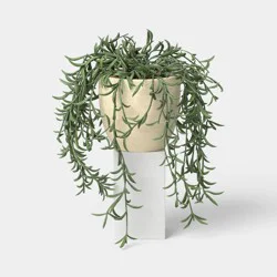 6" Small Artificial Potted Trailing Senecio - Threshold™