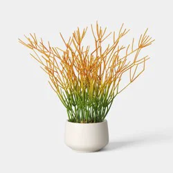 16" Artificial Pencil Cactus Dish Garden - Threshold™