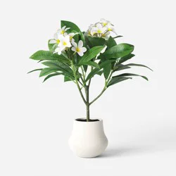 26" Artificial Potted Plumeria - Threshold™