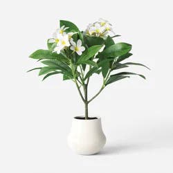 26" Artificial Potted Plumeria - Threshold™