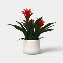 14" Artificial Potted Guzmania - Threshold™