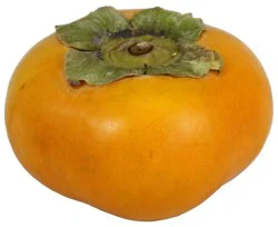 Fresh Organic Persimmons