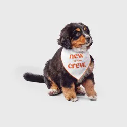 Reversible Dog Bandana - Boots & Barkley™ One Size Fits Most