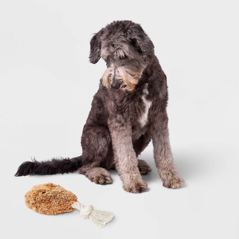 slide 2 of 3, 8.5" Chicken Drummie Dog Plush and Rope Toy - Boots & Barkley™, 1 ct
