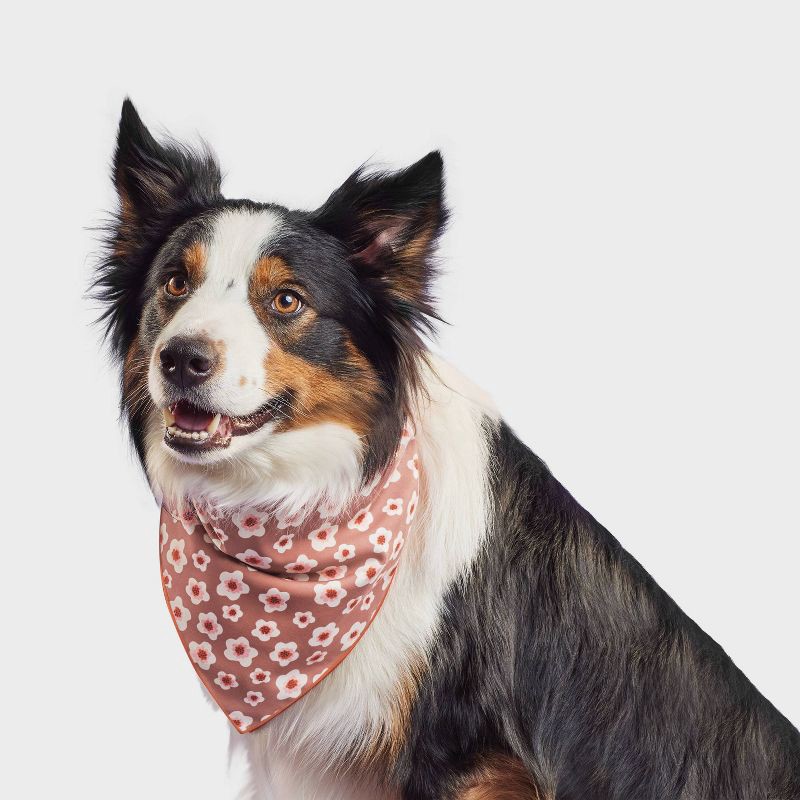 slide 1 of 3, Floral Dog Bandana - Boots & Barkley™ One Size Fits Most, 1 ct