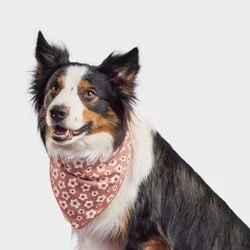 Floral Dog Bandana - Boots & Barkley™ One Size Fits Most
