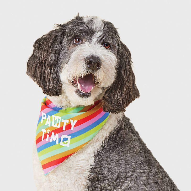 slide 1 of 4, Birthday Reversible Dog Bandana - Boots & Barkley™ White One Size Fits Most, 1 ct