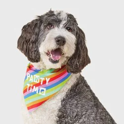 Birthday Reversible Dog Bandana - Boots & Barkley™ White One Size Fits Most