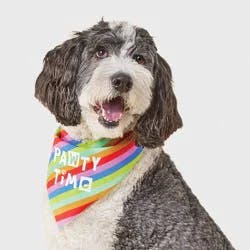 Birthday Reversible Dog Bandana - Boots & Barkley™ White One Size Fits Most