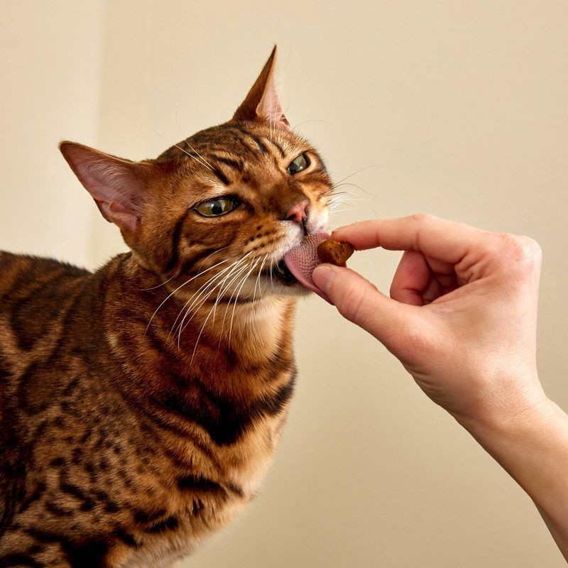 slide 13 of 13, Zesty Paws Bacon Flavor Hairball Bites Cat Treats - 30ct, 30 ct