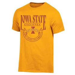 NCAA Iowa State Cyclones Men's Team Color T-Shirt - L