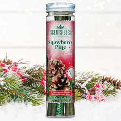 ScentSicles 6pk Snowberry Pine Scented Ornaments