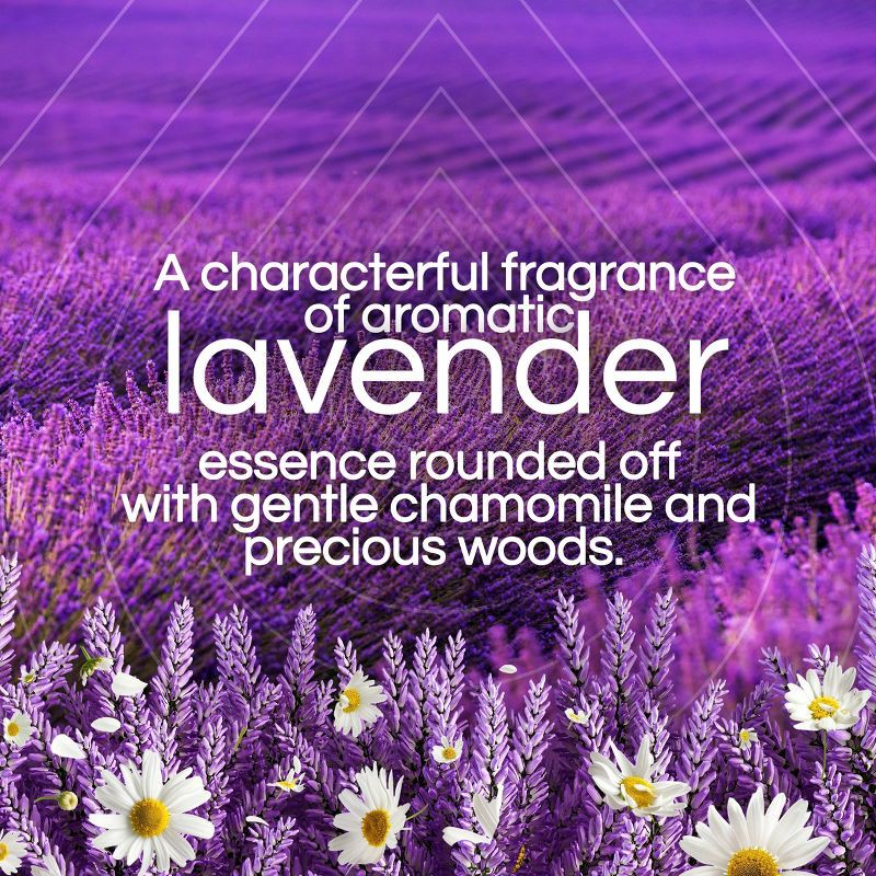 slide 4 of 9, Air Wick Plug-in Scented Oil Air Freshener Refills - Lavender and Chamomile - 4pk, 4 ct