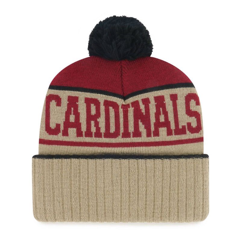 slide 2 of 2, NFL Arizona Cardinals Liftline Knit Beanie, 1 ct