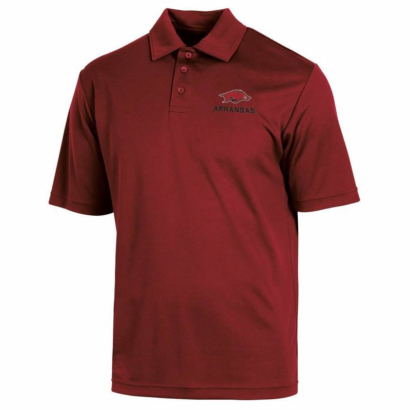 slide 1 of 3, NCAA Arkansas Razorbacks Men's Polo T-Shirt - L, 1 ct