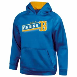 NCAA UCLA Bruins Boys' Gray Hooded Sweatshirt - XS
