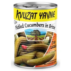 Kvuzat Yavne Pickled Cucumbers in Brine - 19 oz