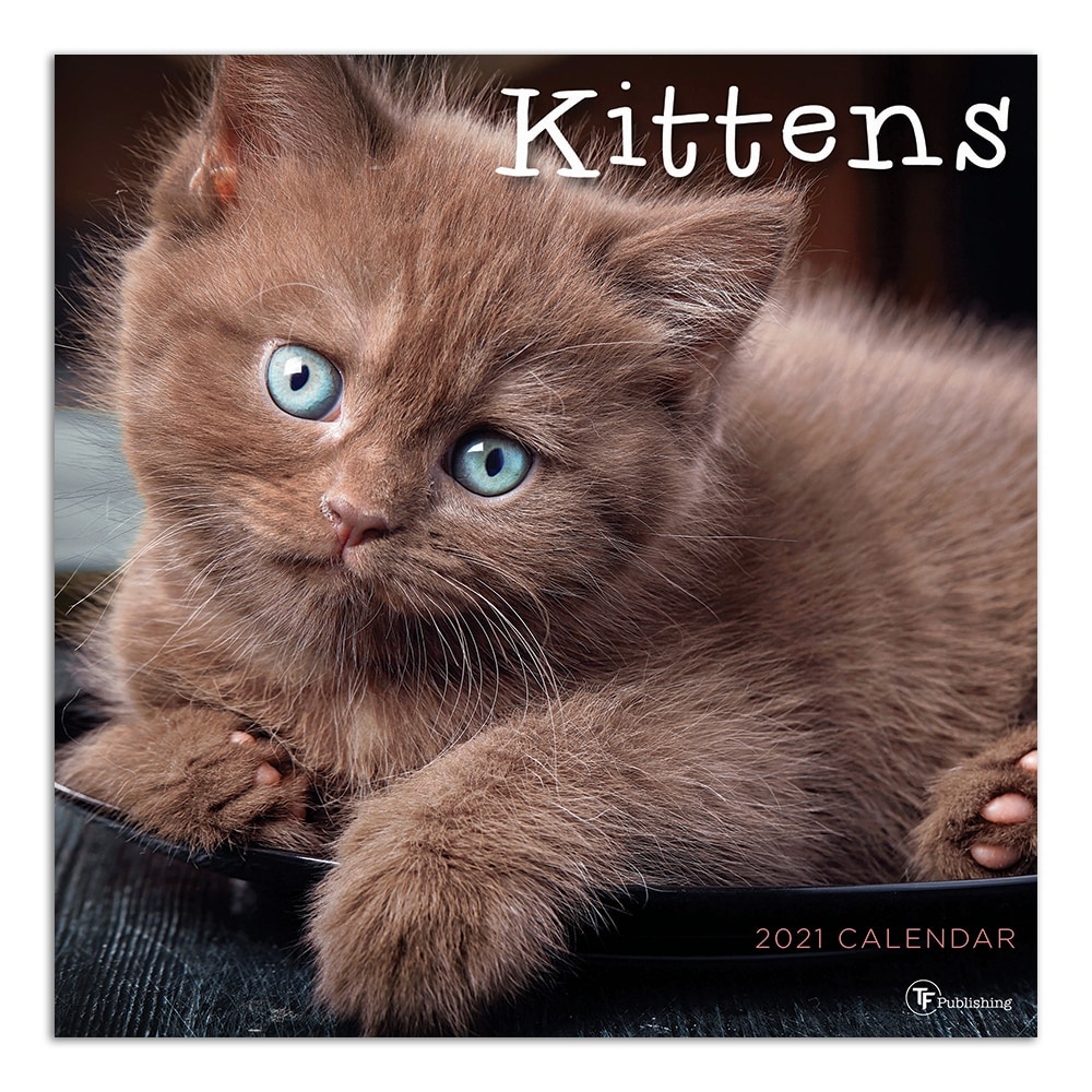 slide 1 of 1, TF Publishing Animals Monthly Wall Calendar, 12" X 12", Kittens, January To December 2021, 1 ct