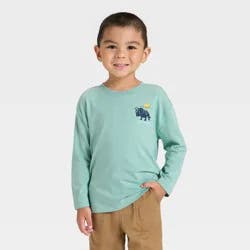 Toddler Boys' Long Sleeve Oversized T-Shirt - Cat & Jack™ Green 2T