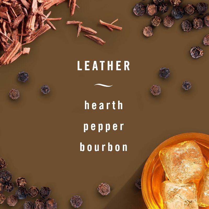 slide 5 of 14, 2ct Febreze Auto Leather, 2 ct