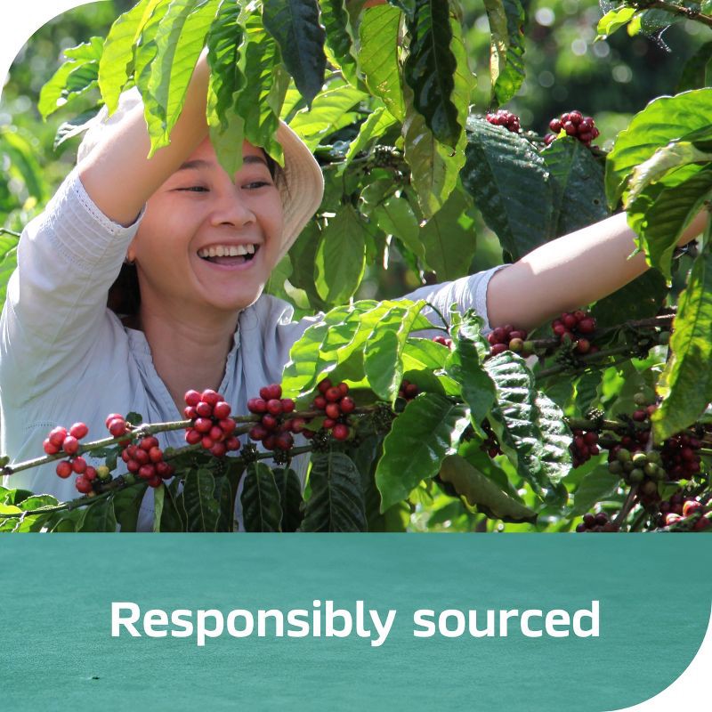 slide 7 of 8, Nescafe Black Espresso Coffee Concentrate - 10 fl oz, 10 fl oz