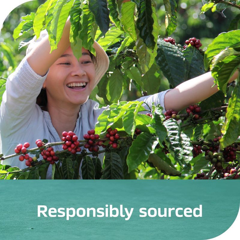 slide 7 of 8, Nescafe Sweet Vanilla Espresso Concentrate - 10 fl oz, 10 fl oz