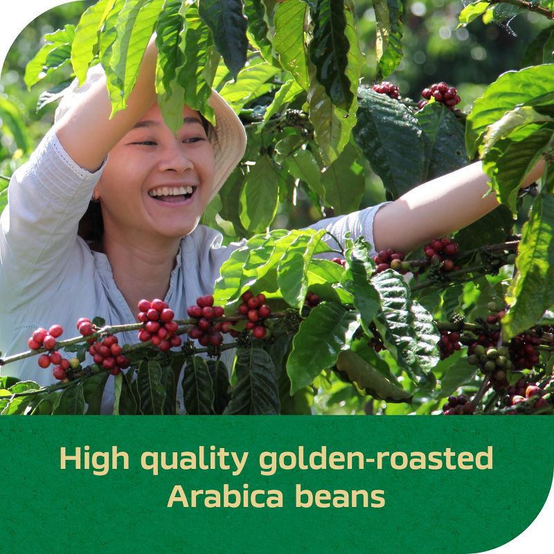 slide 6 of 6, Nescafe Gold Blend Instant Coffee - Decaf - 3.17oz, 3.17 oz