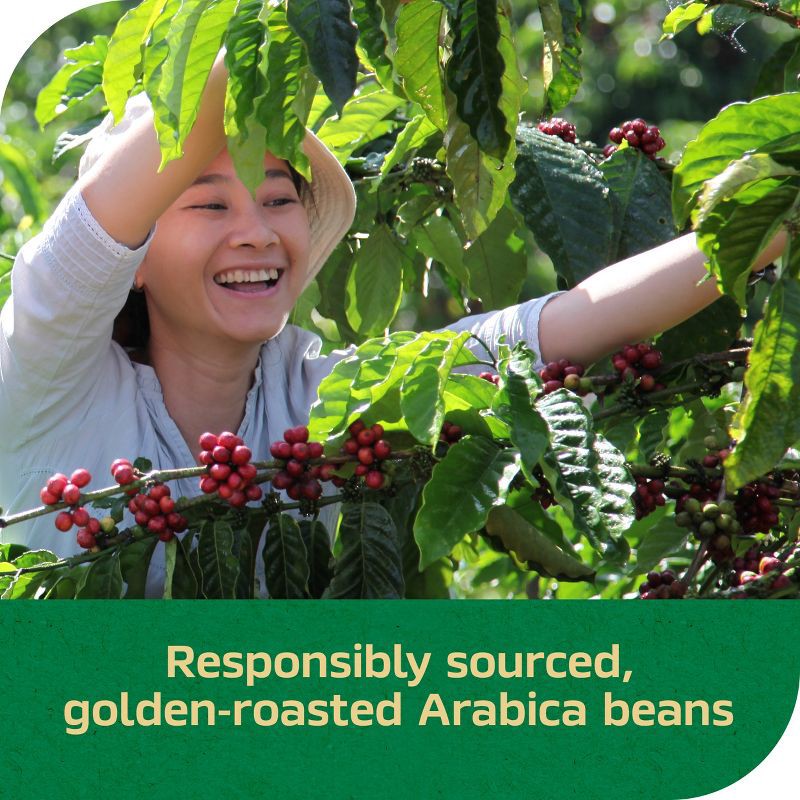 slide 6 of 6, Nescafe Gold Blend Instant Coffee - Decaf - 3.17oz, 3.17 oz