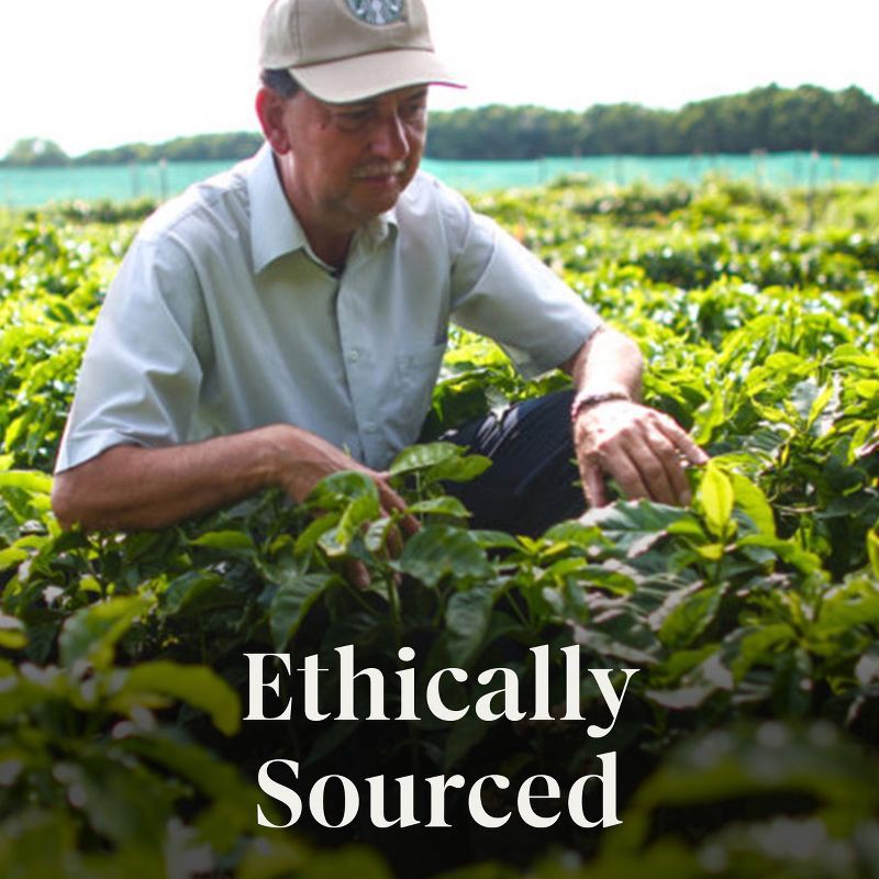 slide 6 of 7, Starbucks Sunsera Blend Blonde Roast Ground Coffee - 12oz, 12 oz