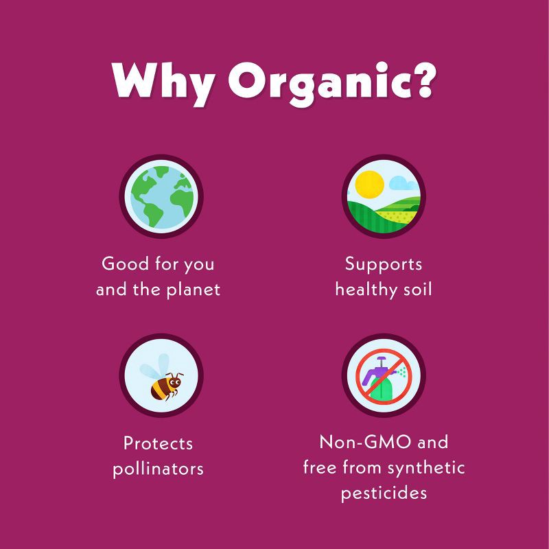 slide 6 of 10, Once Upon a Farm Snack Bars Mixed Berry - 9.6oz/8ct, 8 ct; 9.6 oz