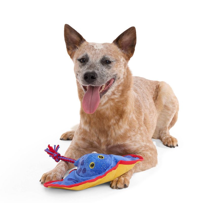 slide 3 of 4, BARK 3.4" Sandy the Blue Stingray Under the Seams Plush Rope Dog Toy, 1 ct