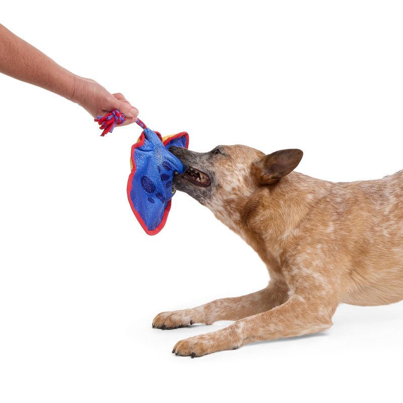 slide 4 of 4, BARK 3.4" Sandy the Blue Stingray Under the Seams Plush Rope Dog Toy, 1 ct