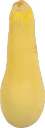 Squash Yellow