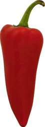 Jalapeno Pepper