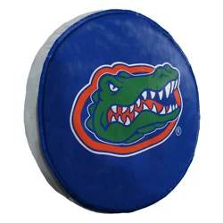 NCAA Florida Gators 15" Circular Cloud Pillow