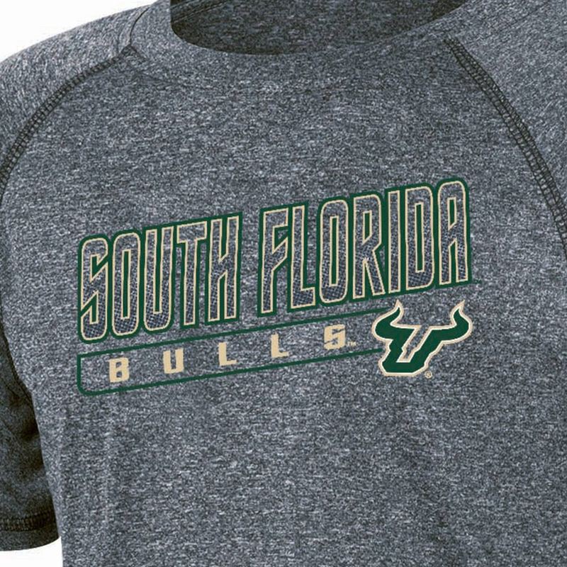 slide 3 of 3, NCAA South Florida Bulls Boys' Gray Poly T-Shirt - L, 1 ct