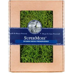 SuperMoss Preserved Spanish Moss