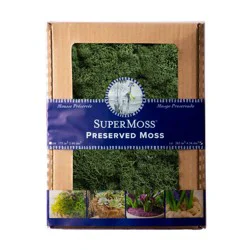 SuperMoss Preserved Reindeer Moss