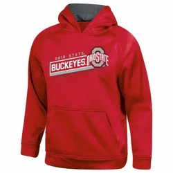 NCAA Ohio State Buckeyes Boys' Gray Hooded Sweatshirt - XL