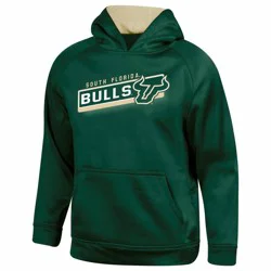 NCAA South Florida Bulls Boys' Gray Hooded Sweatshirt - XS
