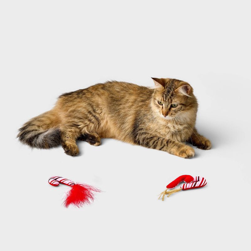 slide 2 of 3, Candy Cane Cat Plush Toy Set - 3pcs - Boots & Barkley™, 3 ct