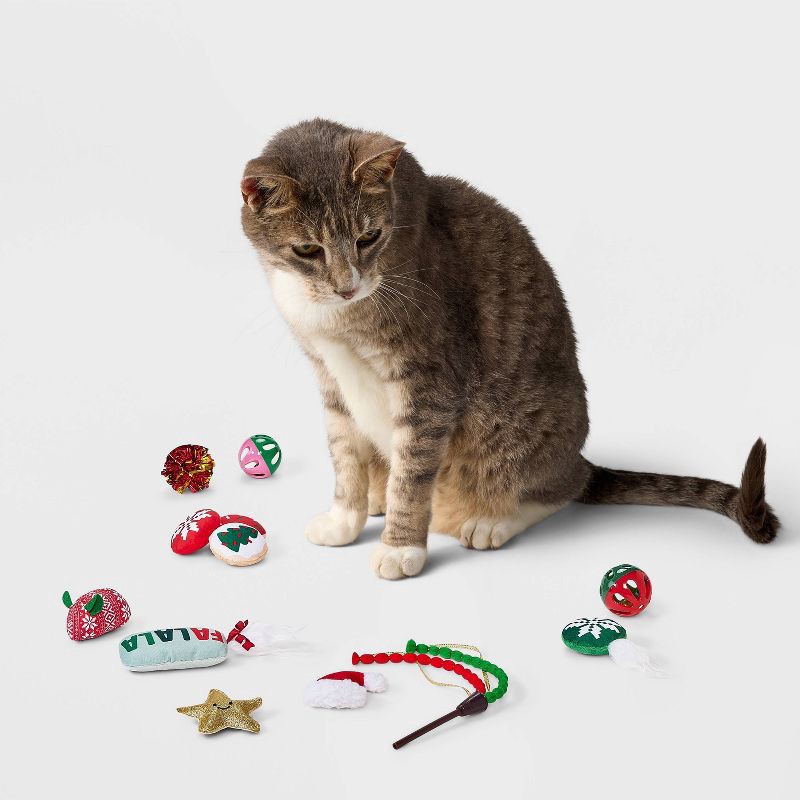slide 3 of 3, Advent Calendar Cat Ball Plush Toy Set - 12pcs - Boots & Barkley™, 12 ct