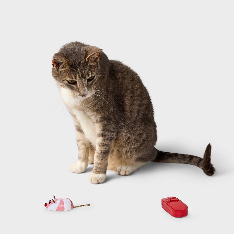 slide 2 of 3, Electronic Mouse Cat Teaser Toy - Boots & Barkley™, 1 ct