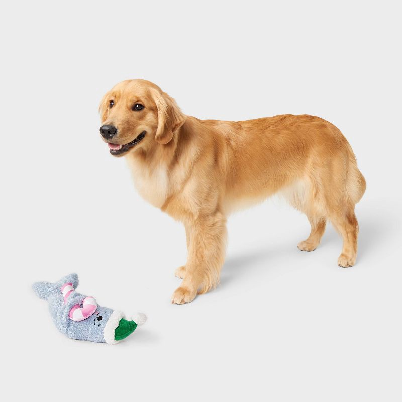 slide 2 of 3, Seal Dog Plush Toy - Boots & Barkley™, 1 ct