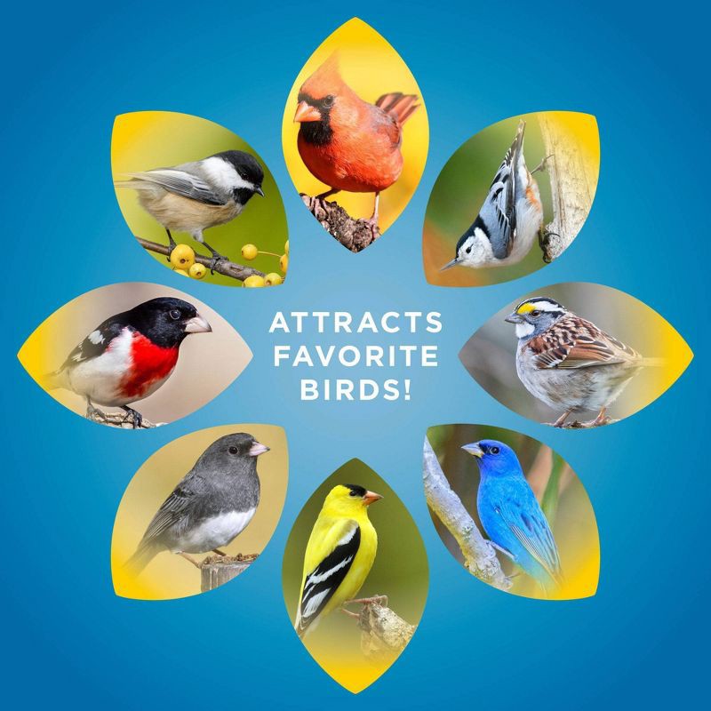 slide 6 of 8, Audubon Park Songbird Blend 14lb, 14 lb