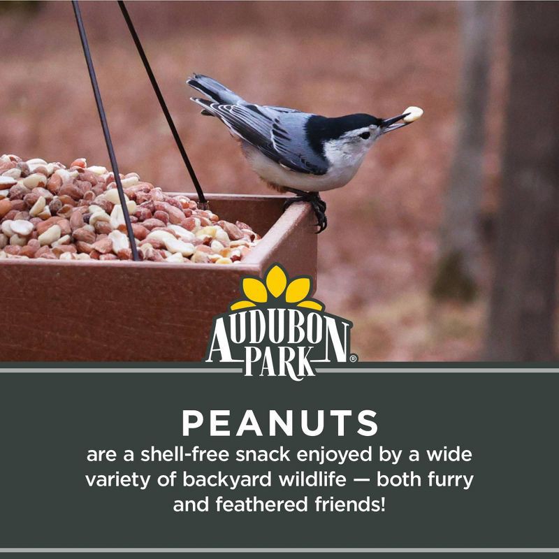 slide 5 of 9, Audubon Park Peanuts, 1 ct