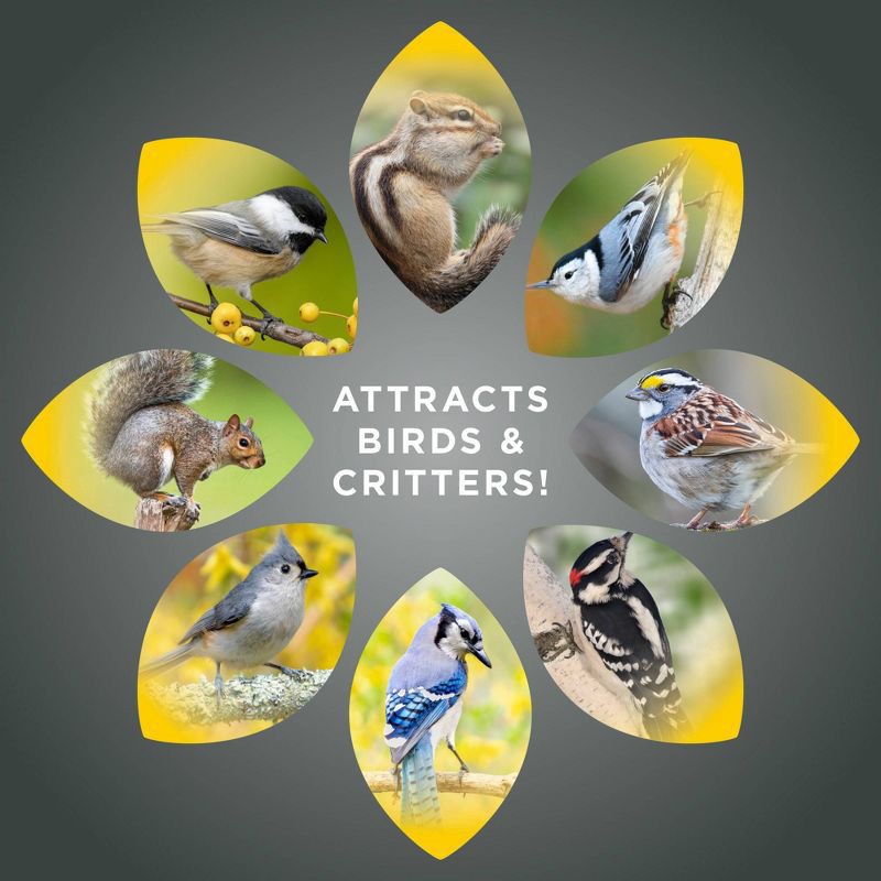 slide 6 of 9, Audubon Park Peanuts, 1 ct