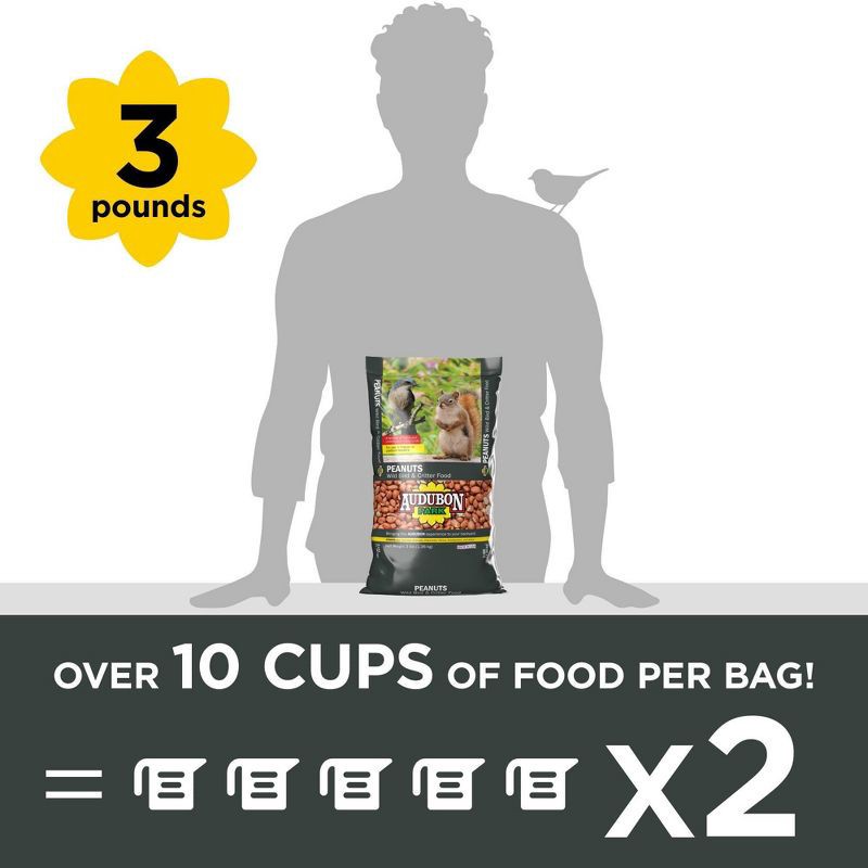 slide 7 of 9, Audubon Park Peanuts, 1 ct