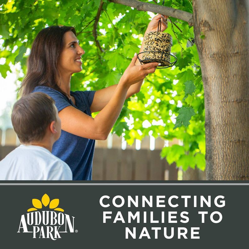 slide 9 of 9, Audubon Park Peanuts, 1 ct